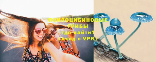 PSILOCYBIN Волоколамск
